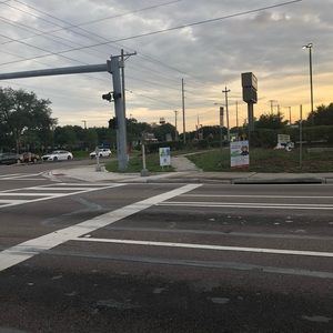 Meet your Posher, Daisy